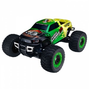 RC Racing is a Growing in Popularity with Spectators